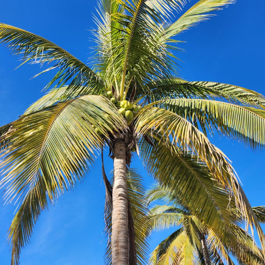 four months later…